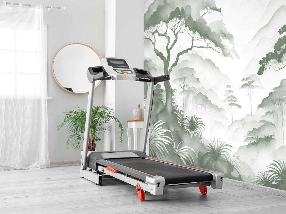 Valle di Montagna Nebbiosa, verde