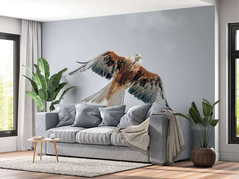 Aquilone rosso nel cielo