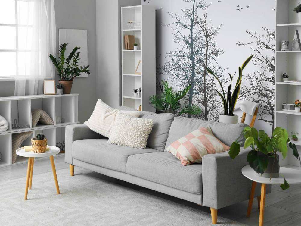 Contorno Invernale Silenzio della Foresta