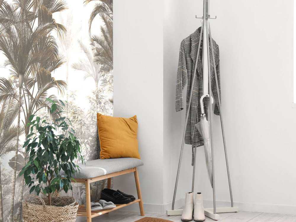 Luce del Sole attraverso le Palme