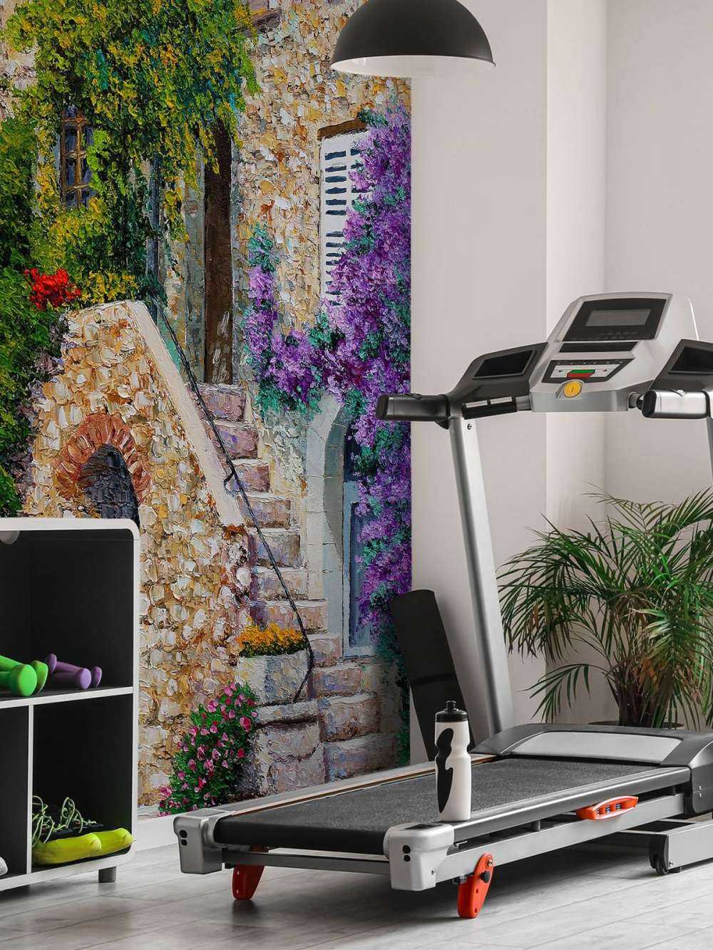 Bougainvillea in Saint Paul de Vence