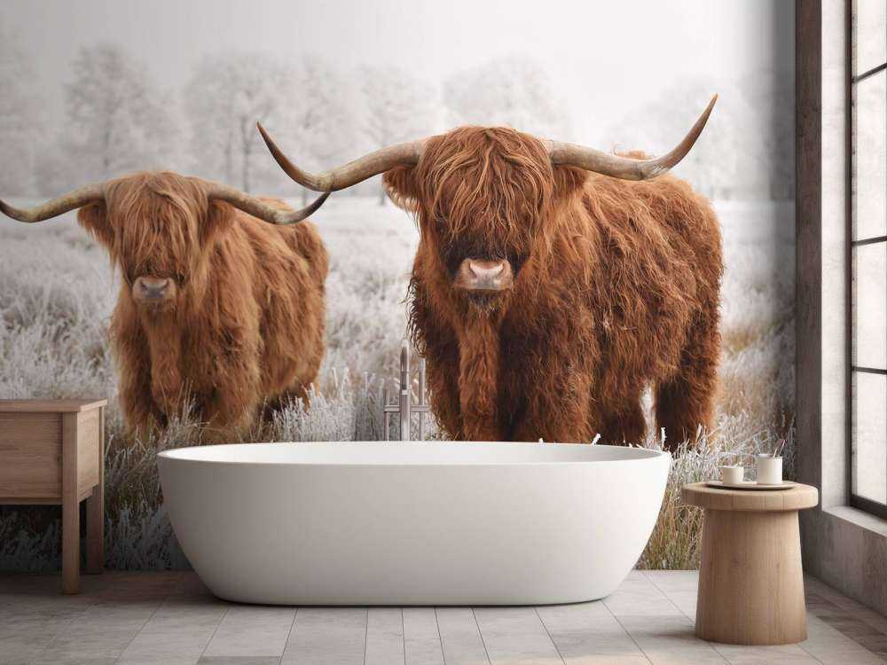 Highlander Invernale