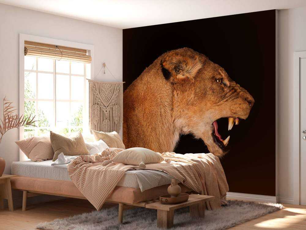 Vista laterale leonessa