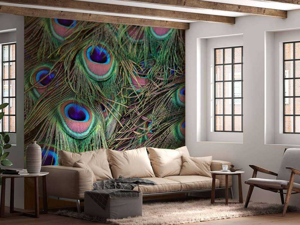 Primo piano di piume pavone