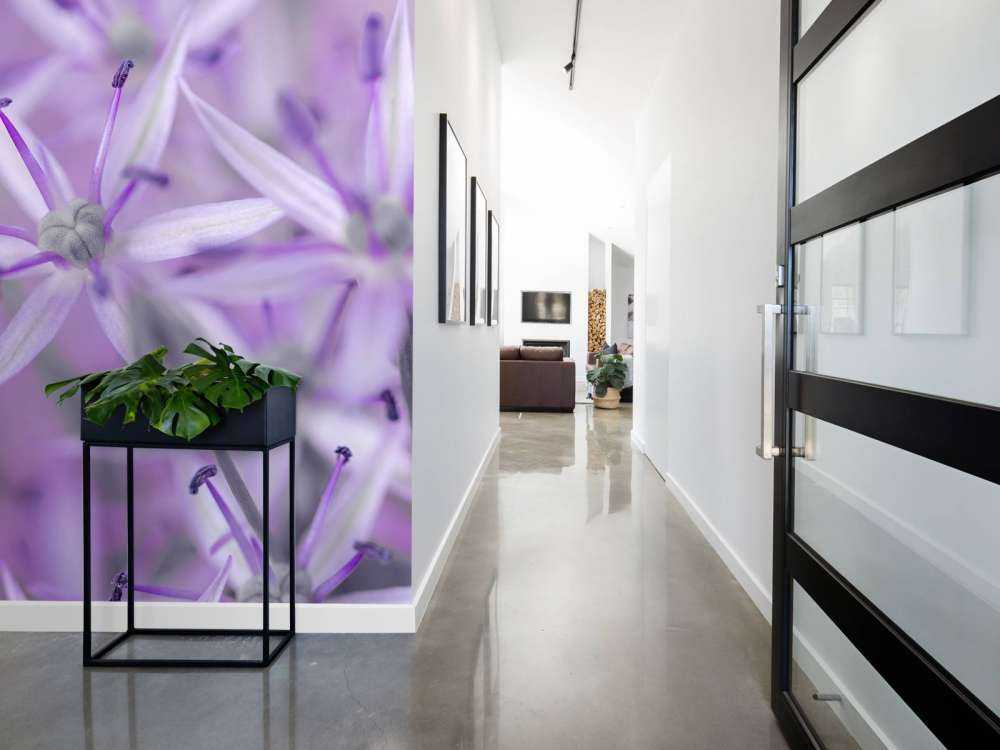 Fiori di allium viola