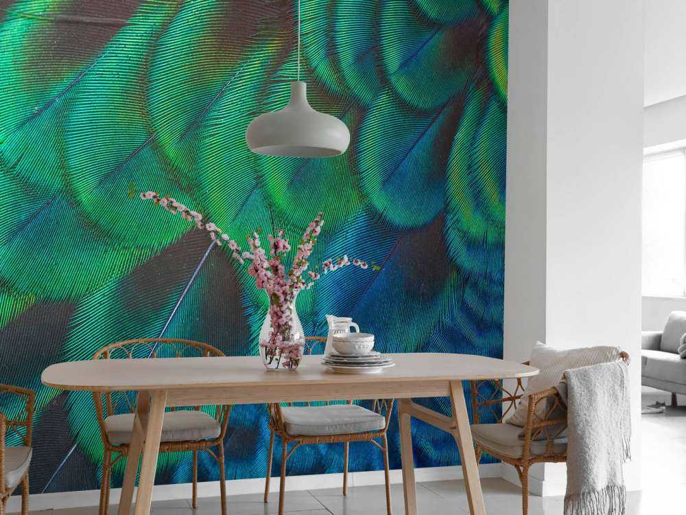 Primo piano di piume di pavone