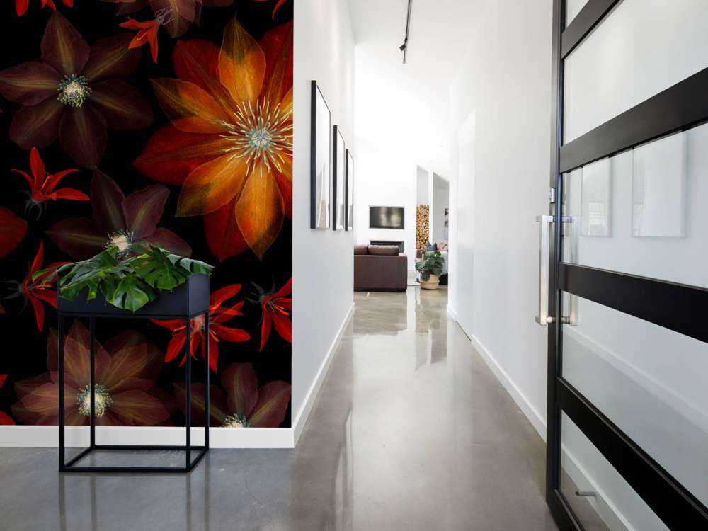 Fiori di clematide rossi