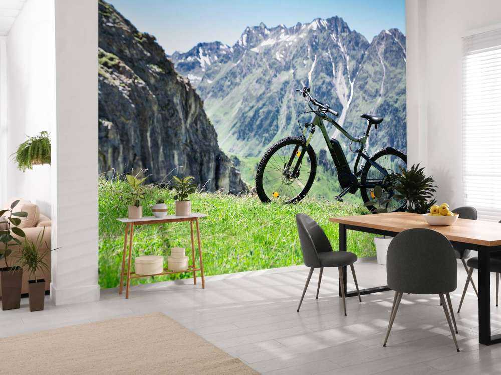 Bicicletta elettrica in Austria