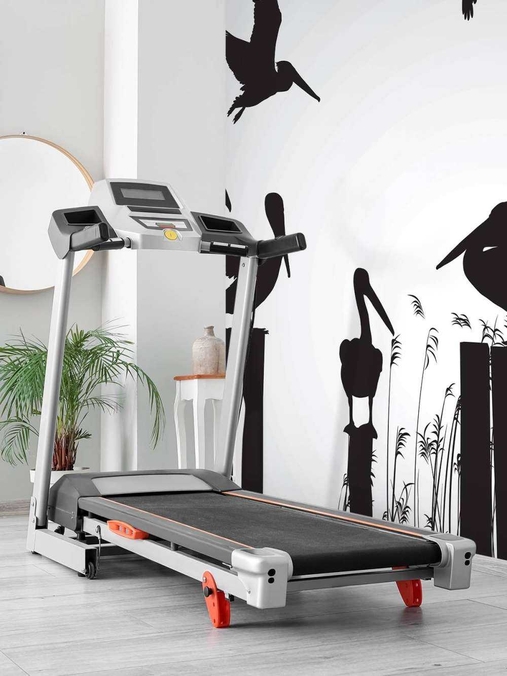 Pellicani su un molo