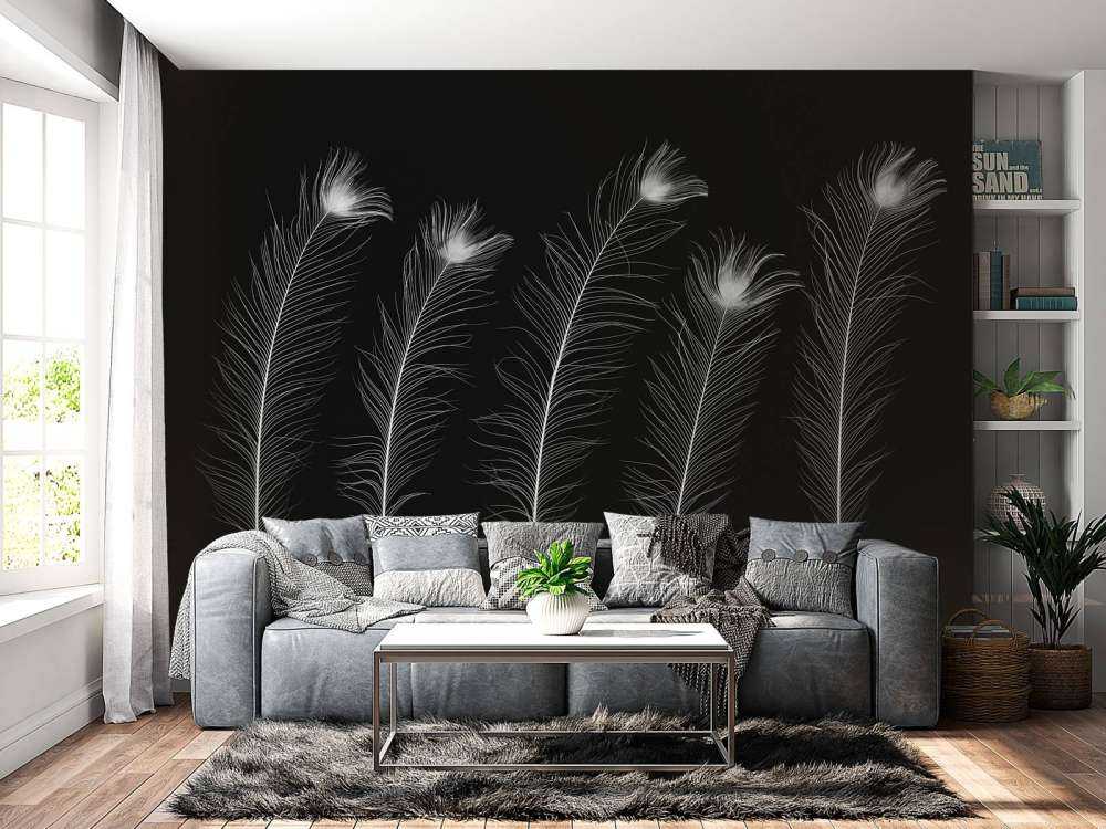 Piume di pavone bianche