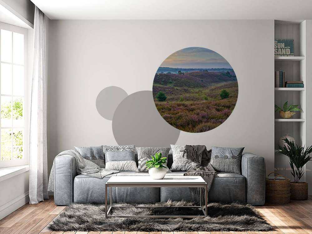 Colline della brughiera