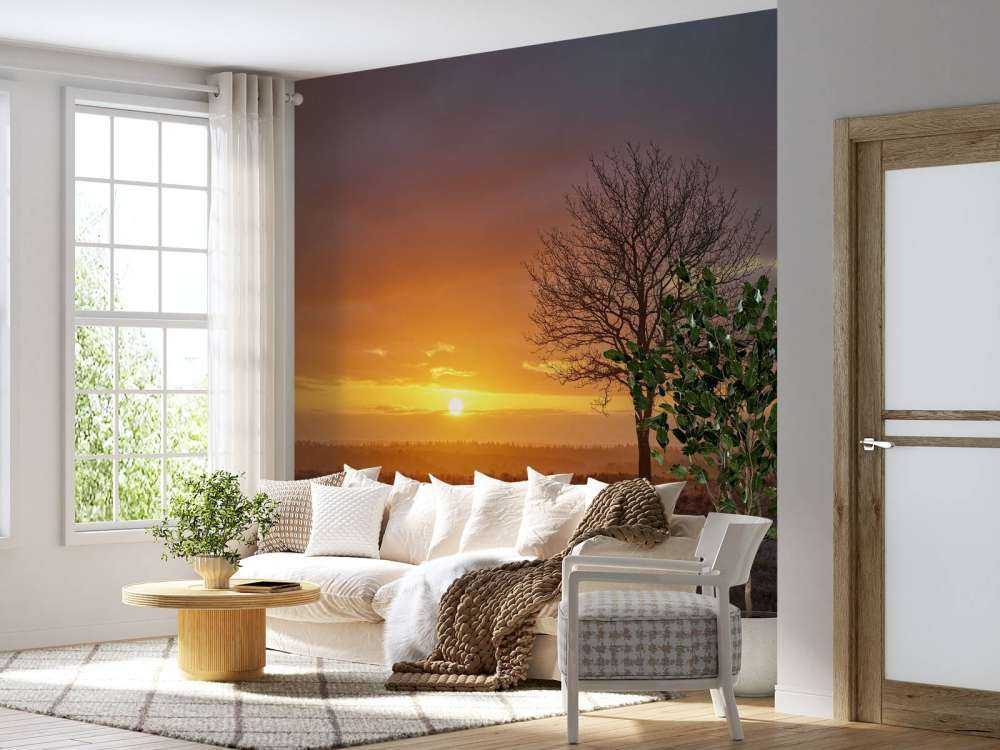 Alba colorata sulla brughiera