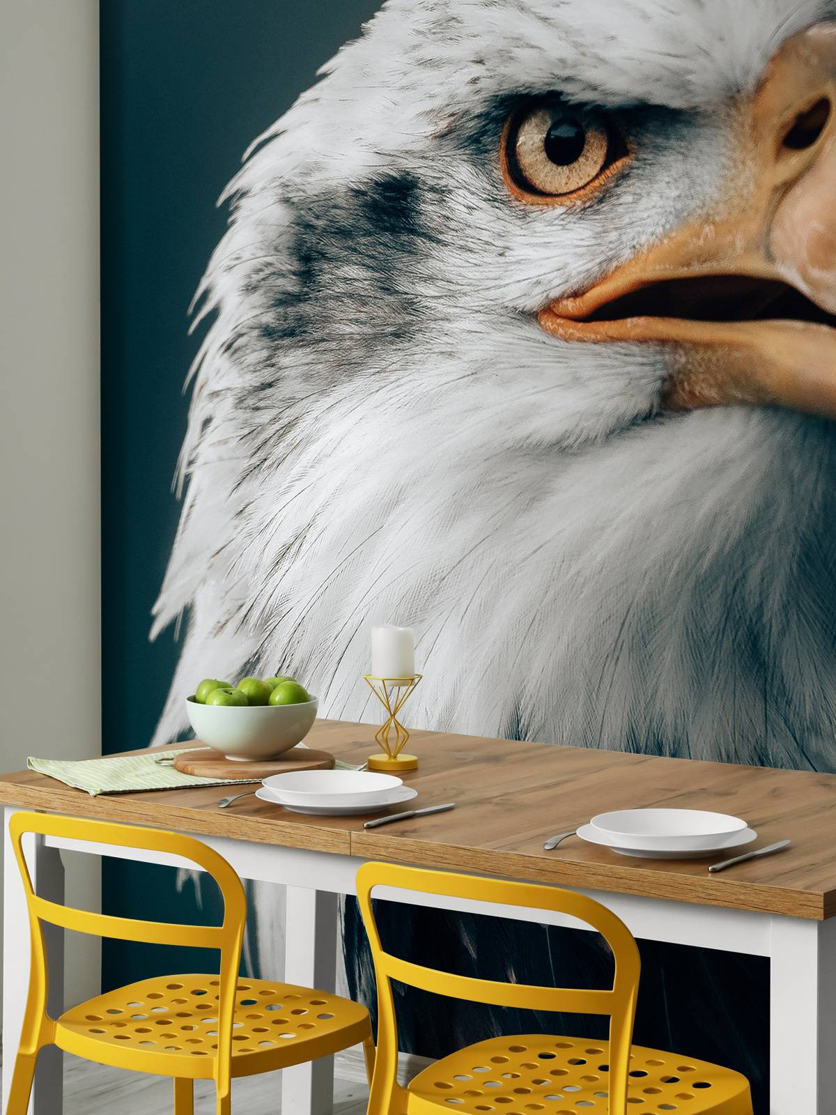 Aquila dalla coda bianca che fissa