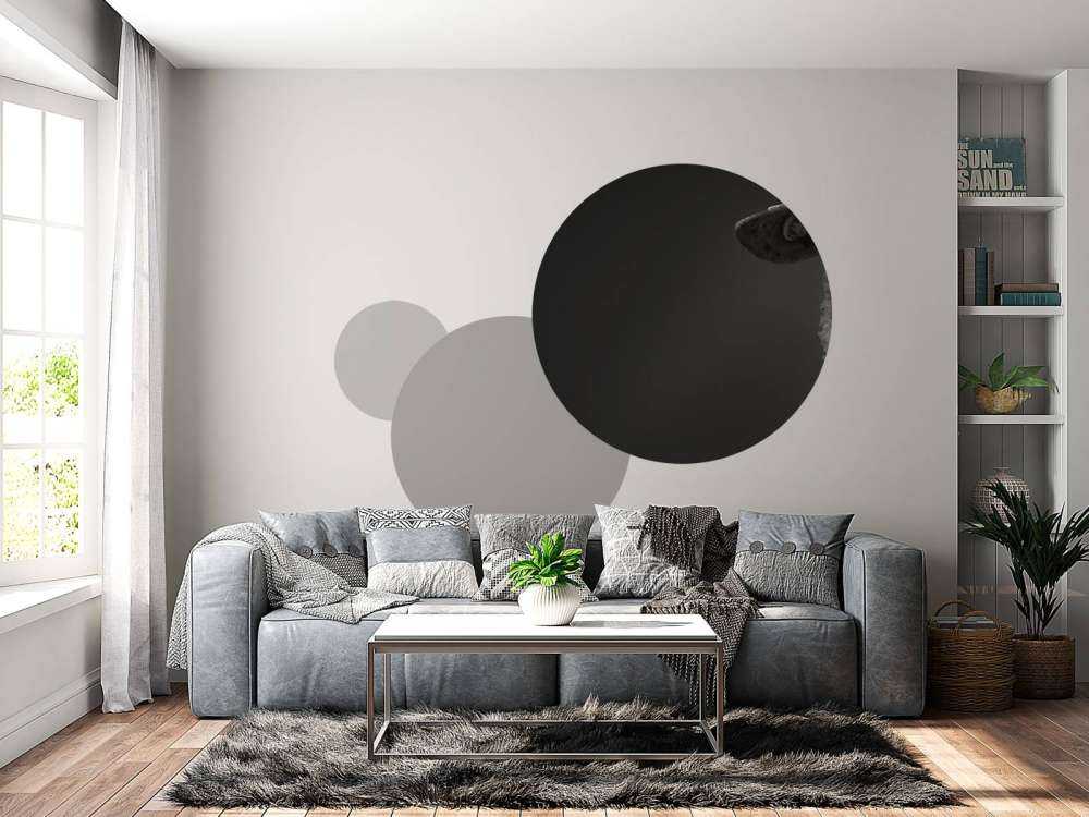 Pecora primo piano in bianco e nero