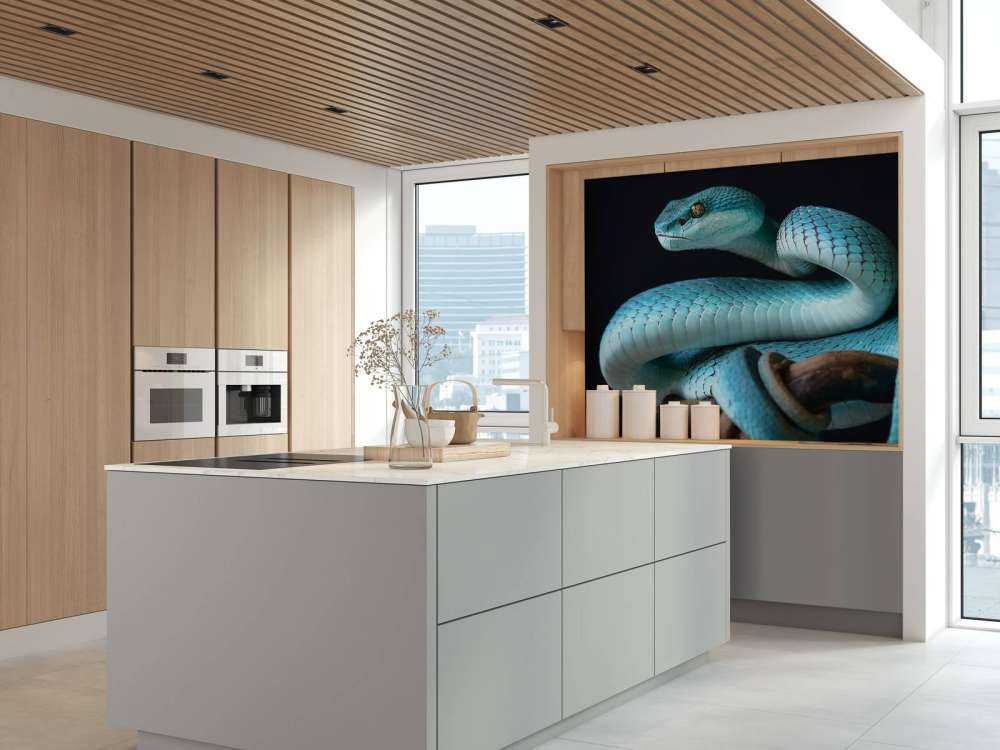 Serpente blu insulare