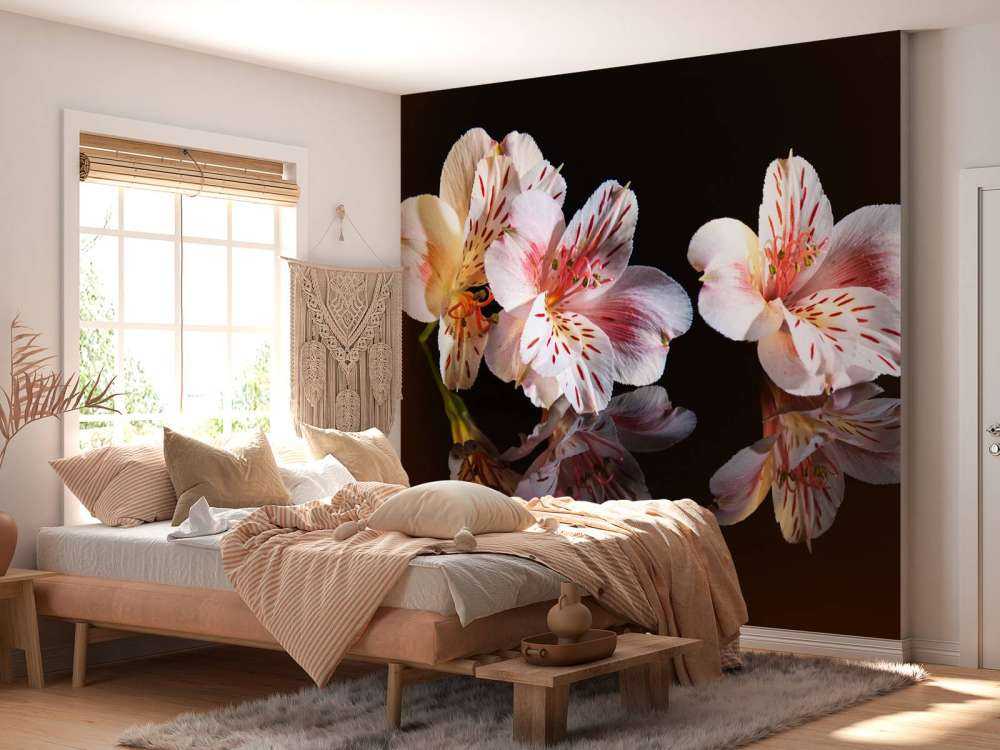 Alstroemeria fiori con riflessione