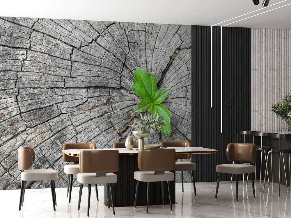 Diametro di un tronco d'albero 