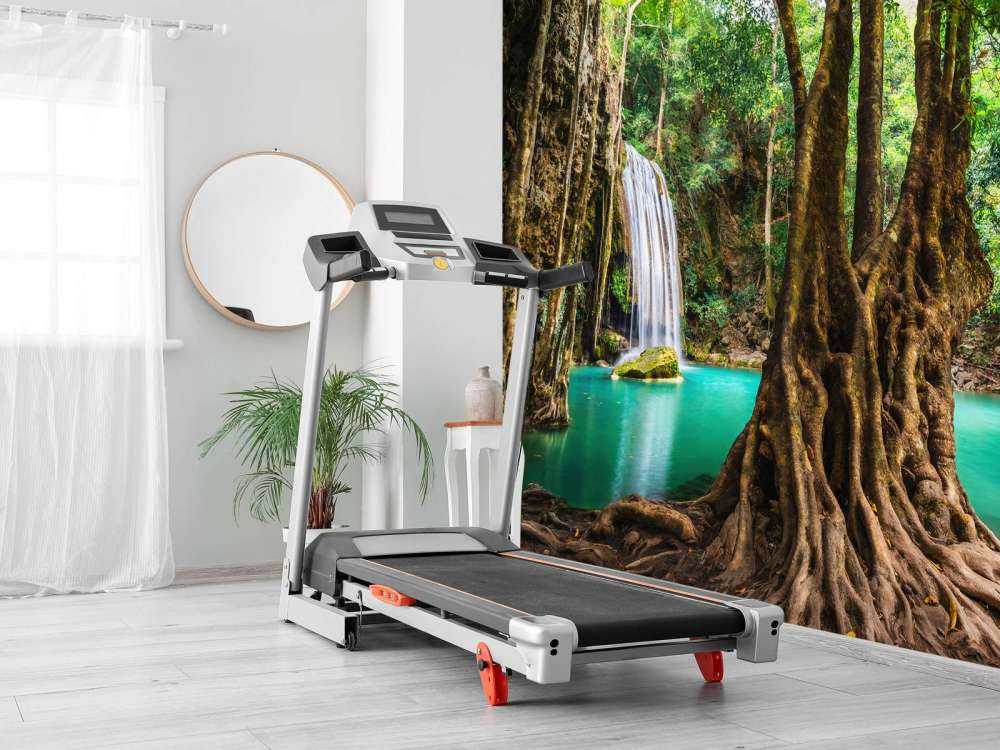 Cascata nella giungla tropicale