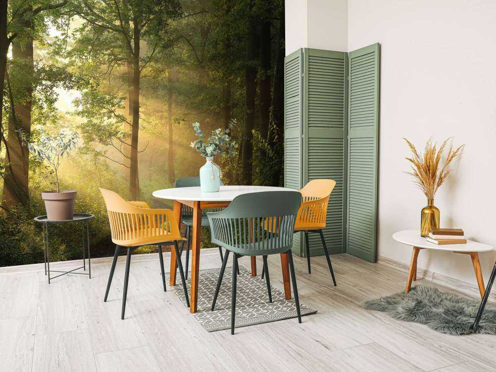 Nebbiosa mattina di primavera