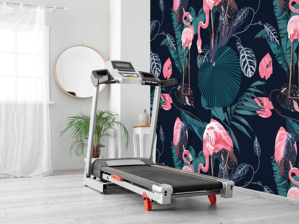 Fenicotteri rosa selvatici