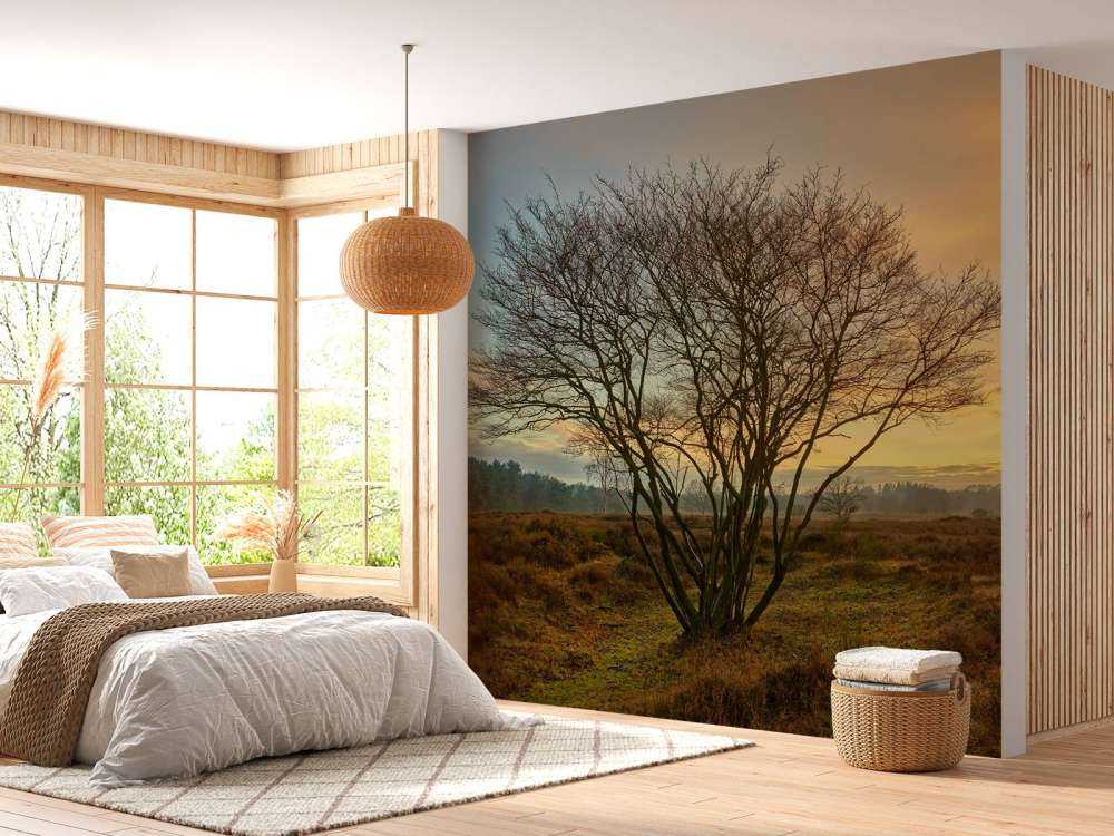 L'alba nella brughiera