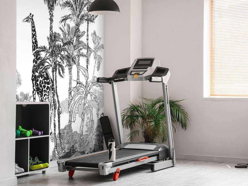 Animali abbozzati nella giungla