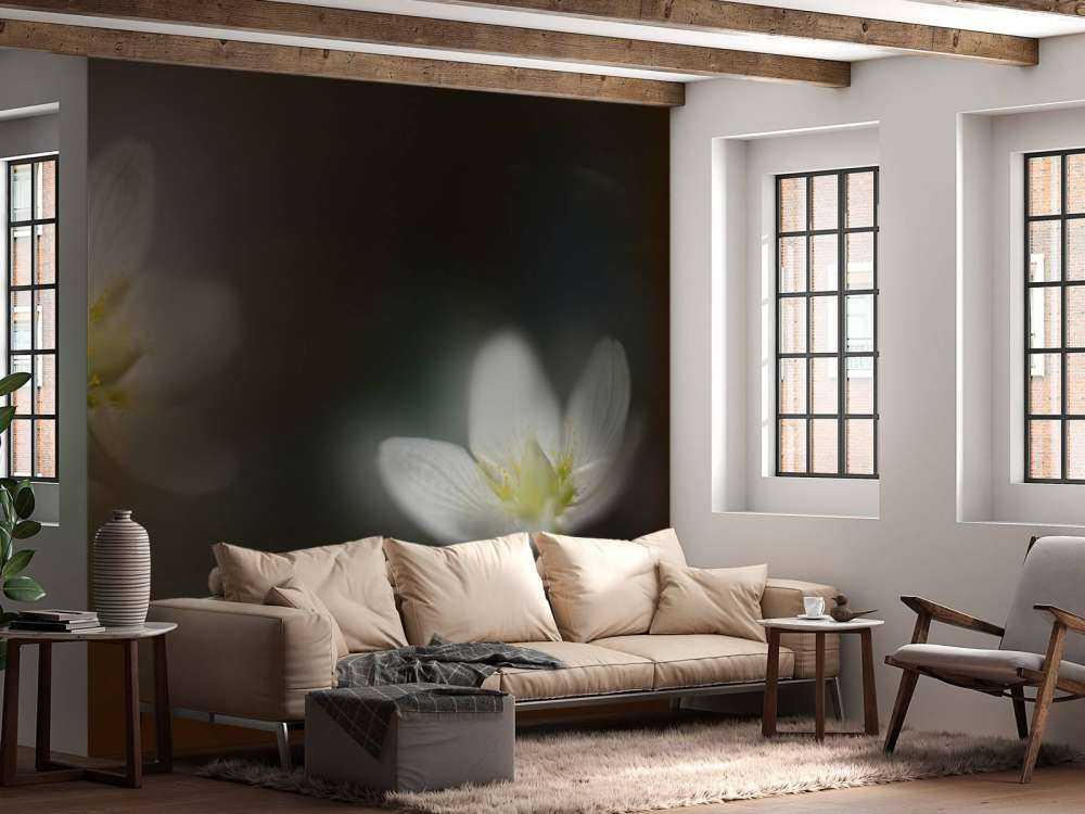 Light in the darkness