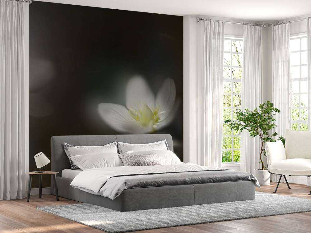 Light in the darkness