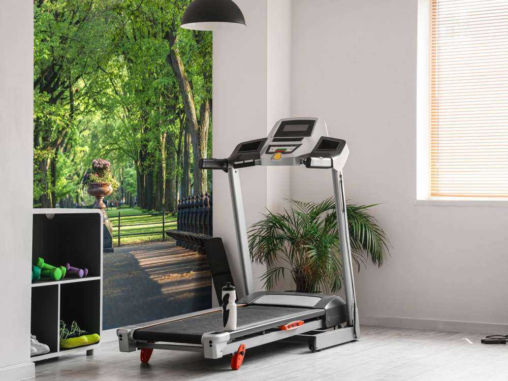 Sentiero a Central Park