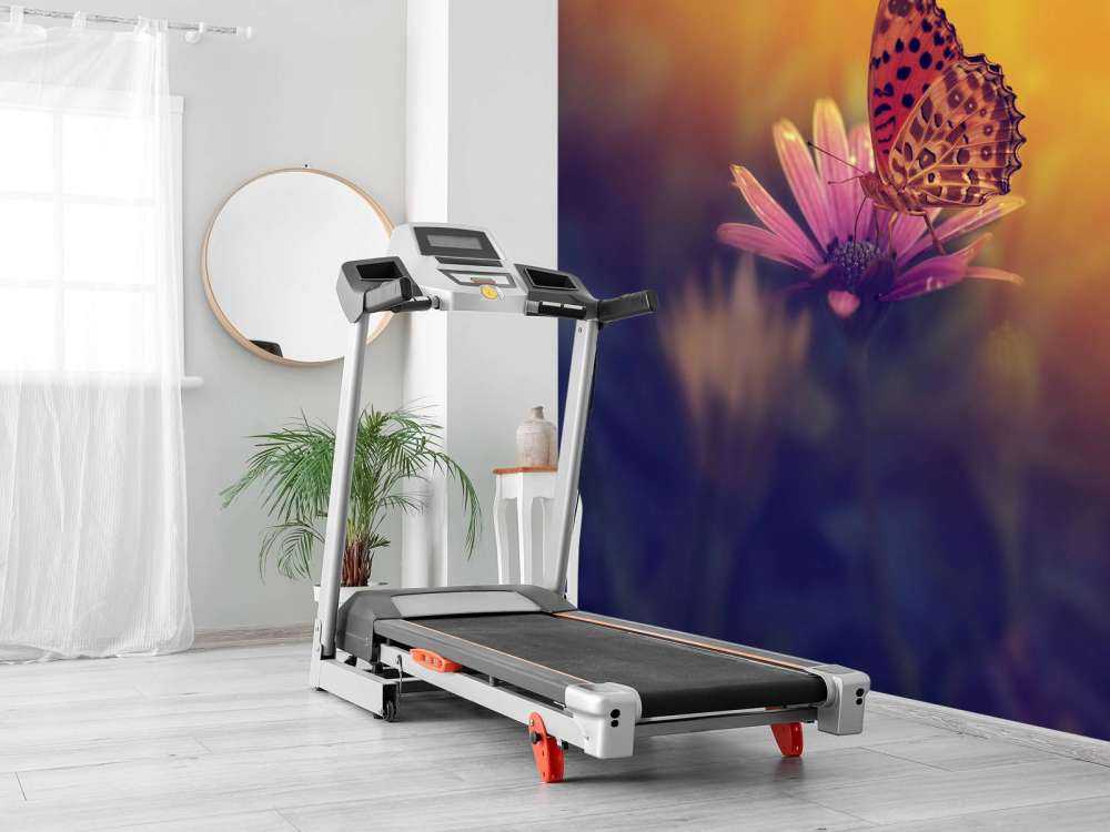 Farfalla rossa su fiore