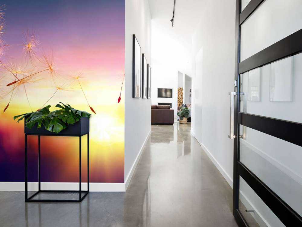 Tarassaco al tramonto