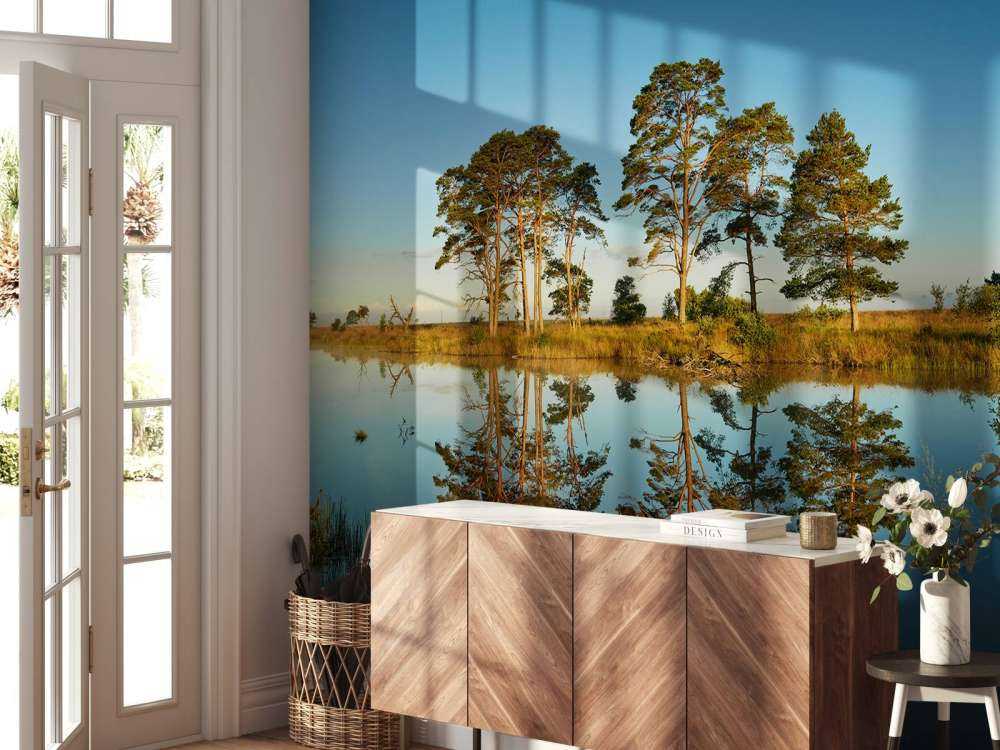 Riflessione nel lago della foresta