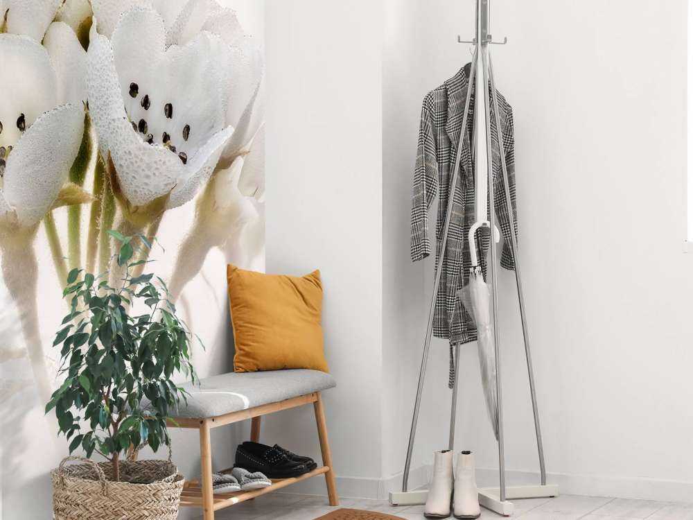 Fiore di pero in primo piano