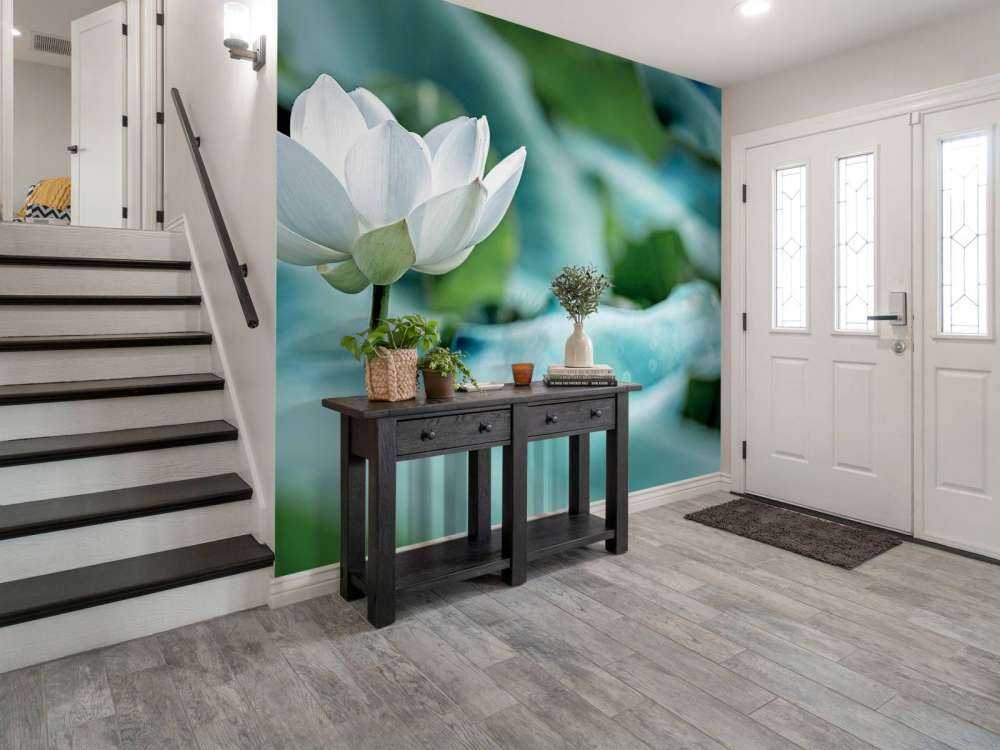 Fiore di loto bianco