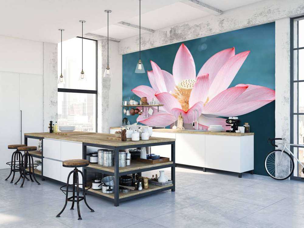 Fiore di loto da vicino