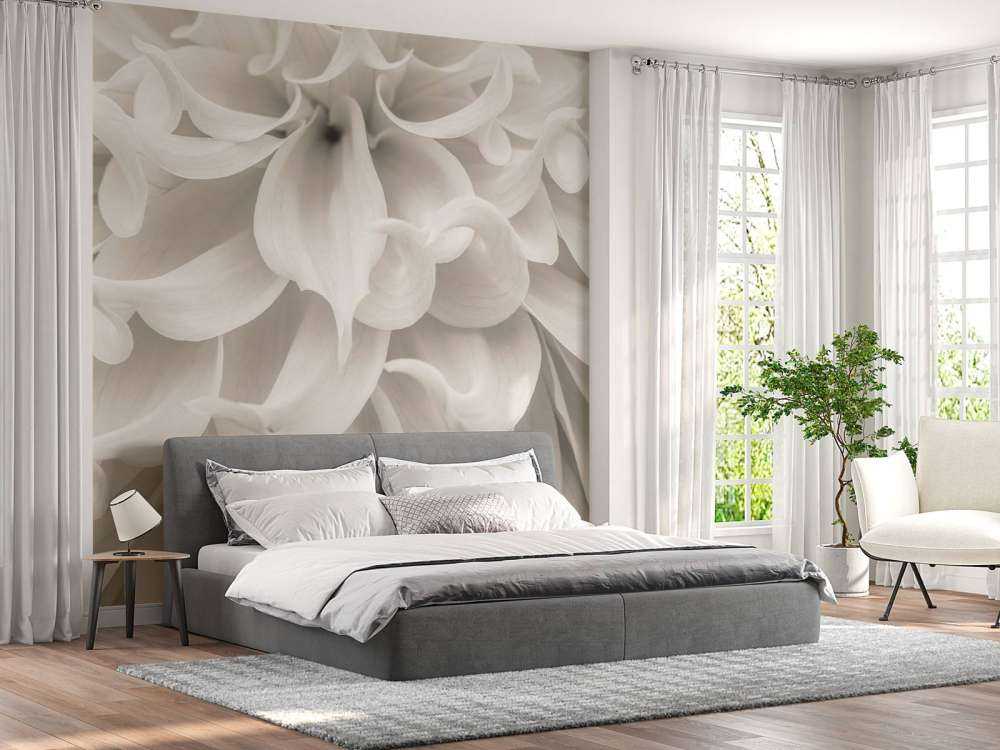 Primo piano di un fiore di Dalia