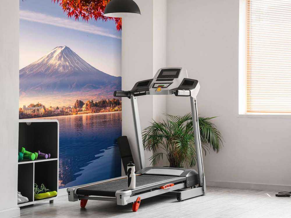 Il Monte Fuji in autunno