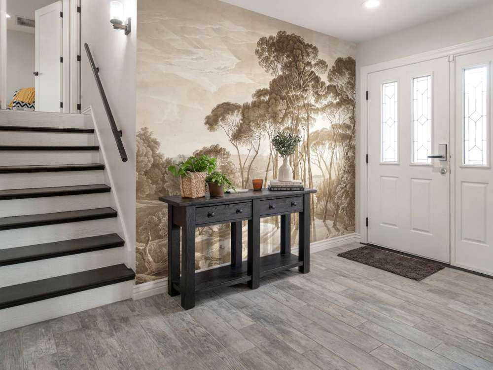 Paesaggio forestale vicino a Roma con il sole al tramonto