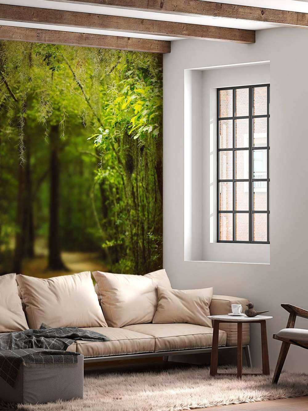 Foresta spagnola piena di muschio