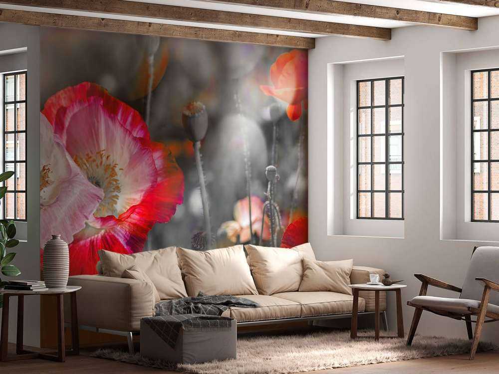 Papaveri in nero, bianco, rosso e nero