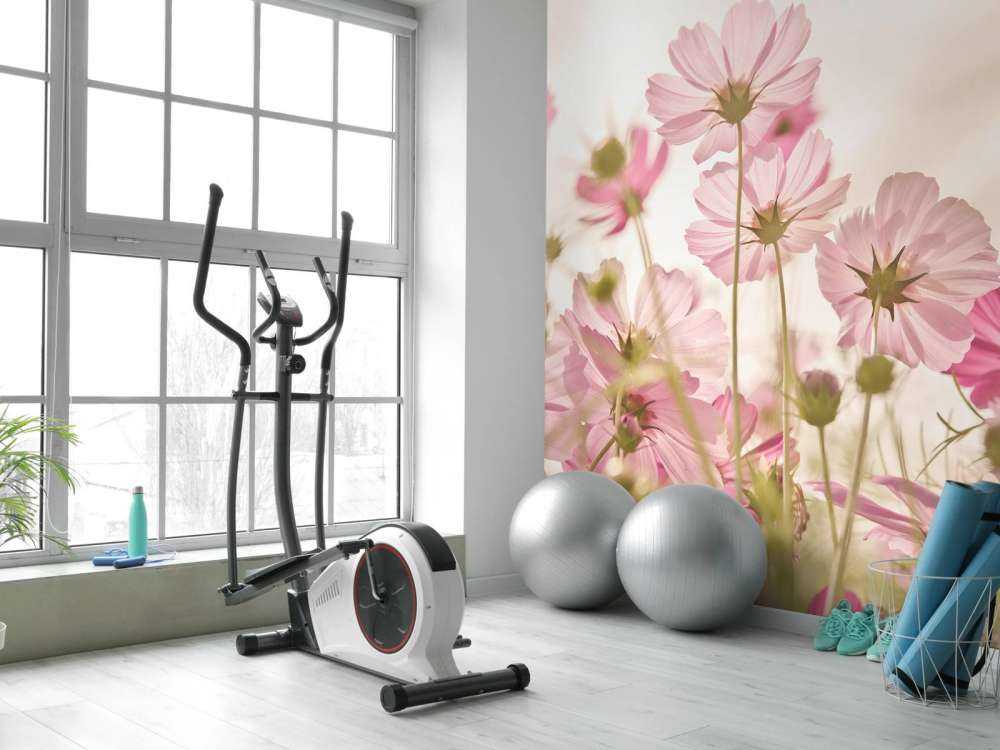 Bellissimo giardino fiorito