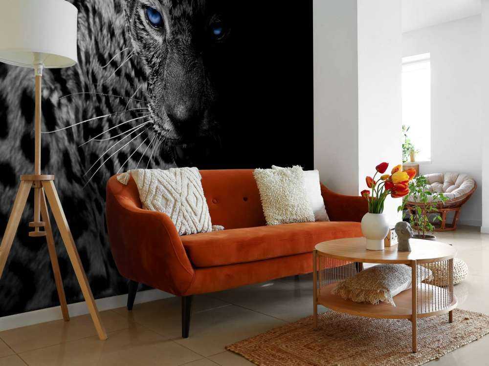 Leopardo su sfondo nero