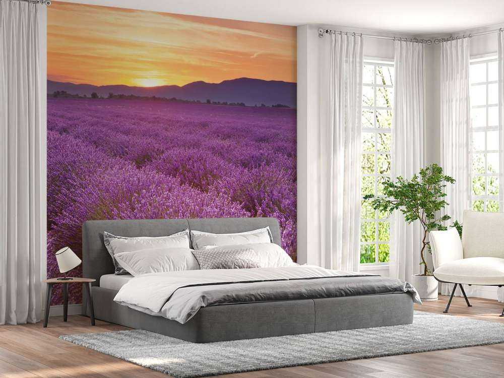 Campo pieno di lavanda