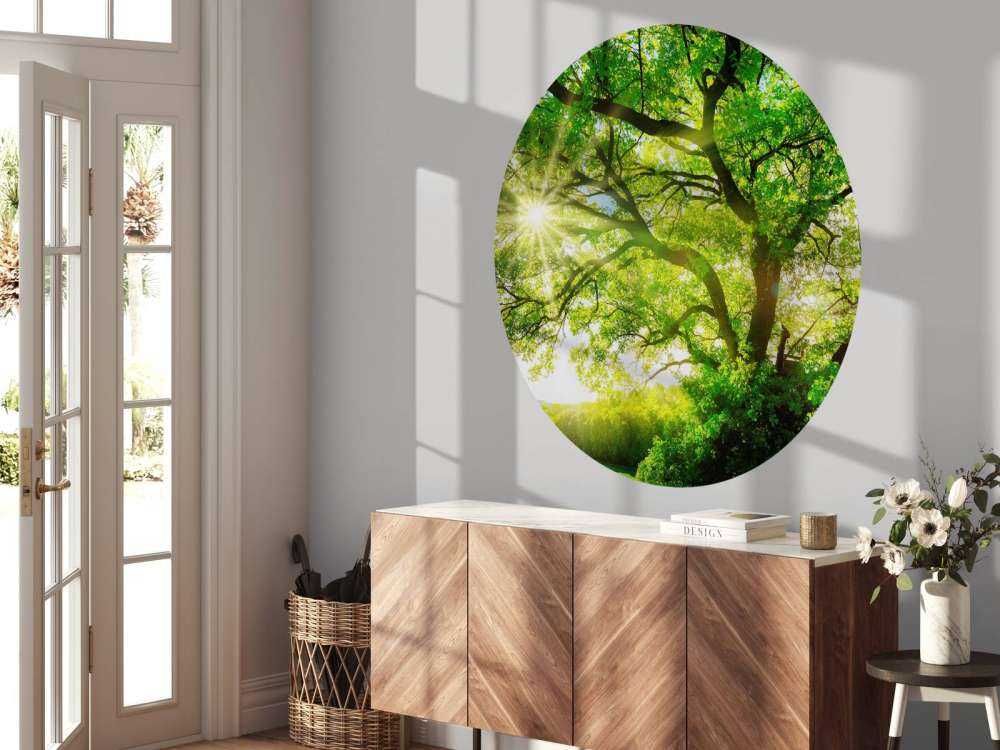 Albero con raggi di sole