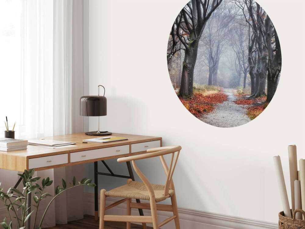 Alberi nella foresta