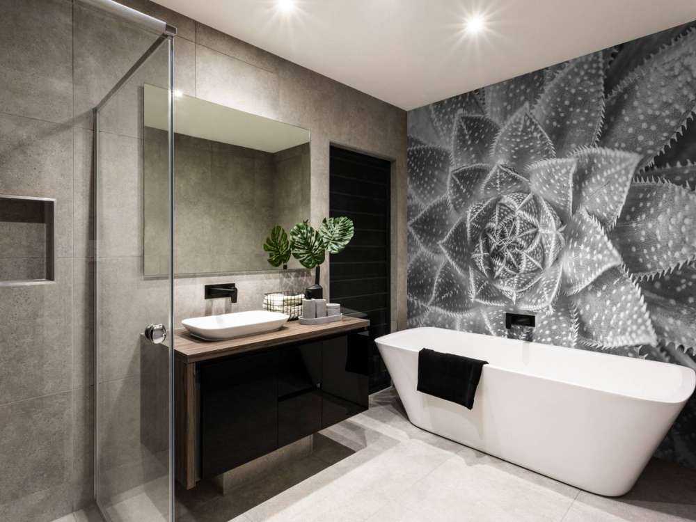 Primo piano di una succulenta