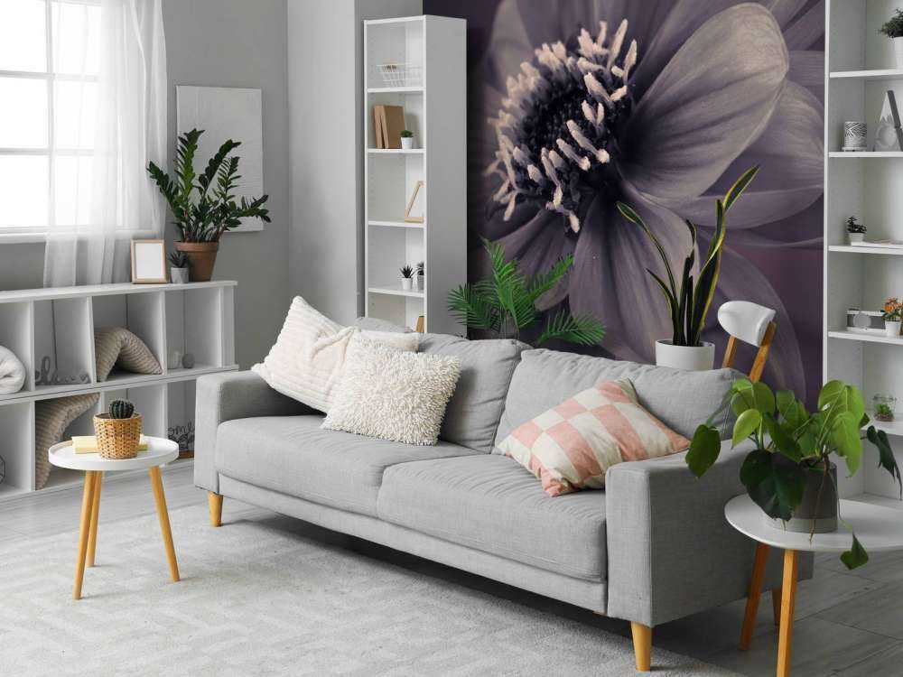 Fiore di dalia scuro