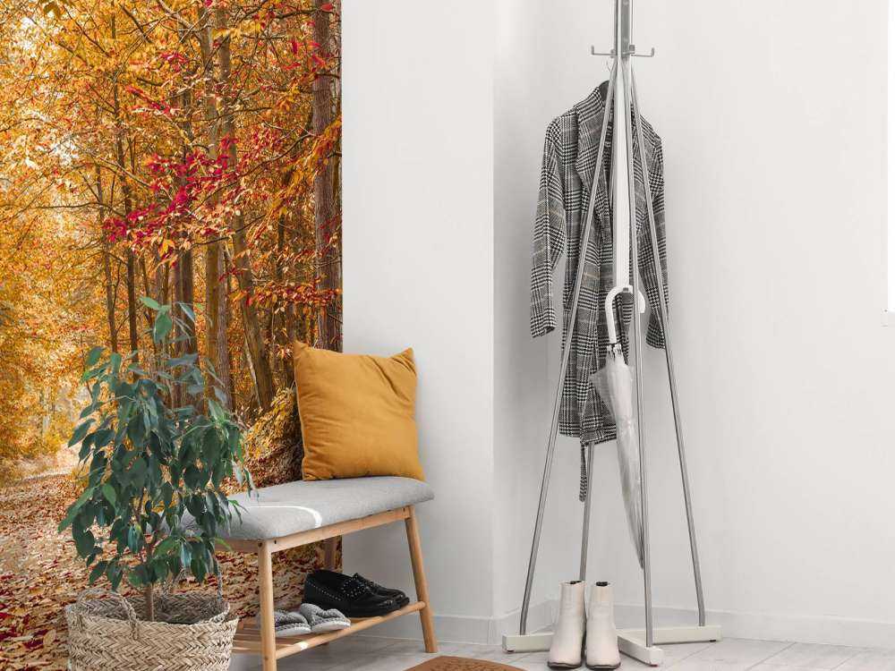 Pathway through Autumn forest