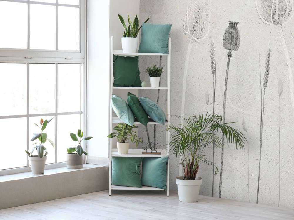 Fantasmi della natura che sussurrano