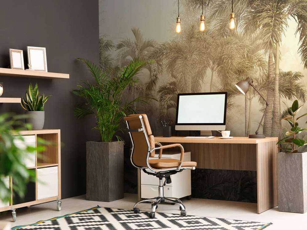 Bellezza della Nebbia Tropicale